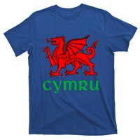 Cymru Welsh Pride Gift Red Dragon Of Wales Flag Funny Gift T-Shirt