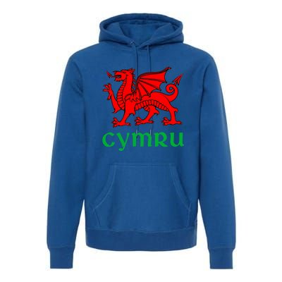 Cymru Welsh Pride Gift Red Dragon Of Wales Flag Funny Gift Premium Hoodie