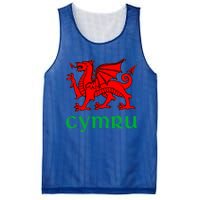 Cymru Welsh Pride Gift Red Dragon Of Wales Flag Funny Gift Mesh Reversible Basketball Jersey Tank