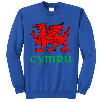 Cymru Welsh Pride Gift Red Dragon Of Wales Flag Funny Gift Tall Sweatshirt