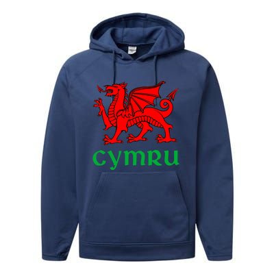 Cymru Welsh Pride Gift Red Dragon Of Wales Flag Funny Gift Performance Fleece Hoodie