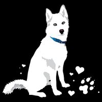 Cute White Siberian Husky Sweet White Snow Dog Drawstring Bag