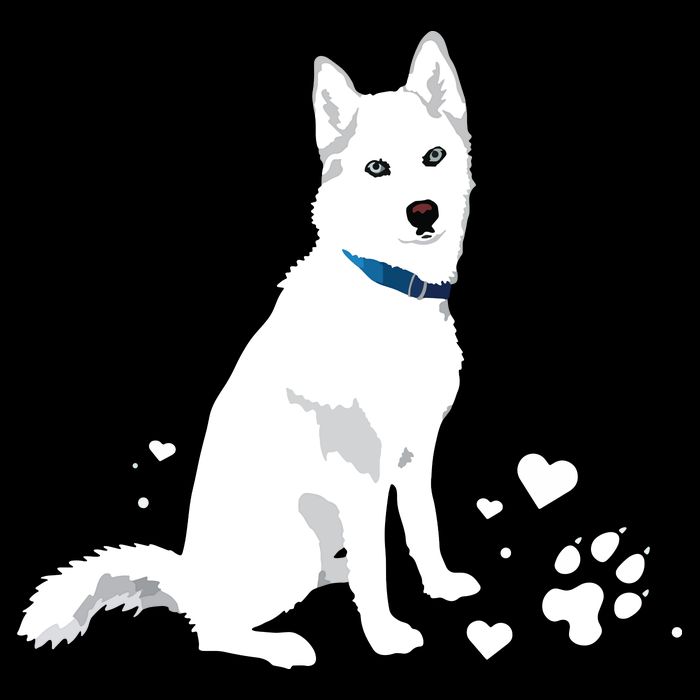 Cute White Siberian Husky Sweet White Snow Dog Drawstring Bag