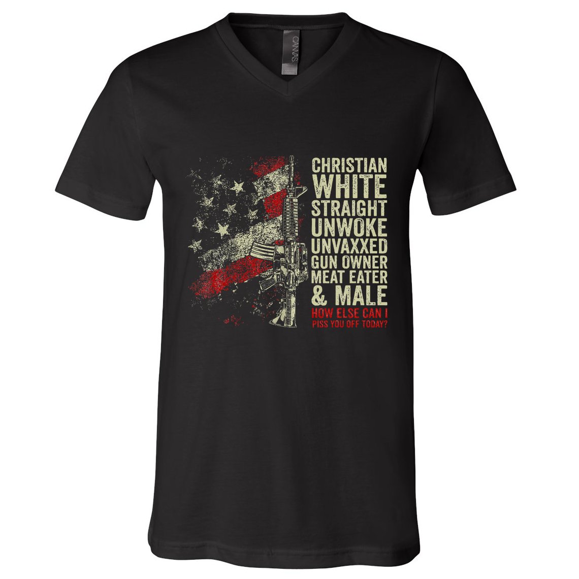 Christian White Straight Unwoke Unvaxxed Gun Owner V-Neck T-Shirt