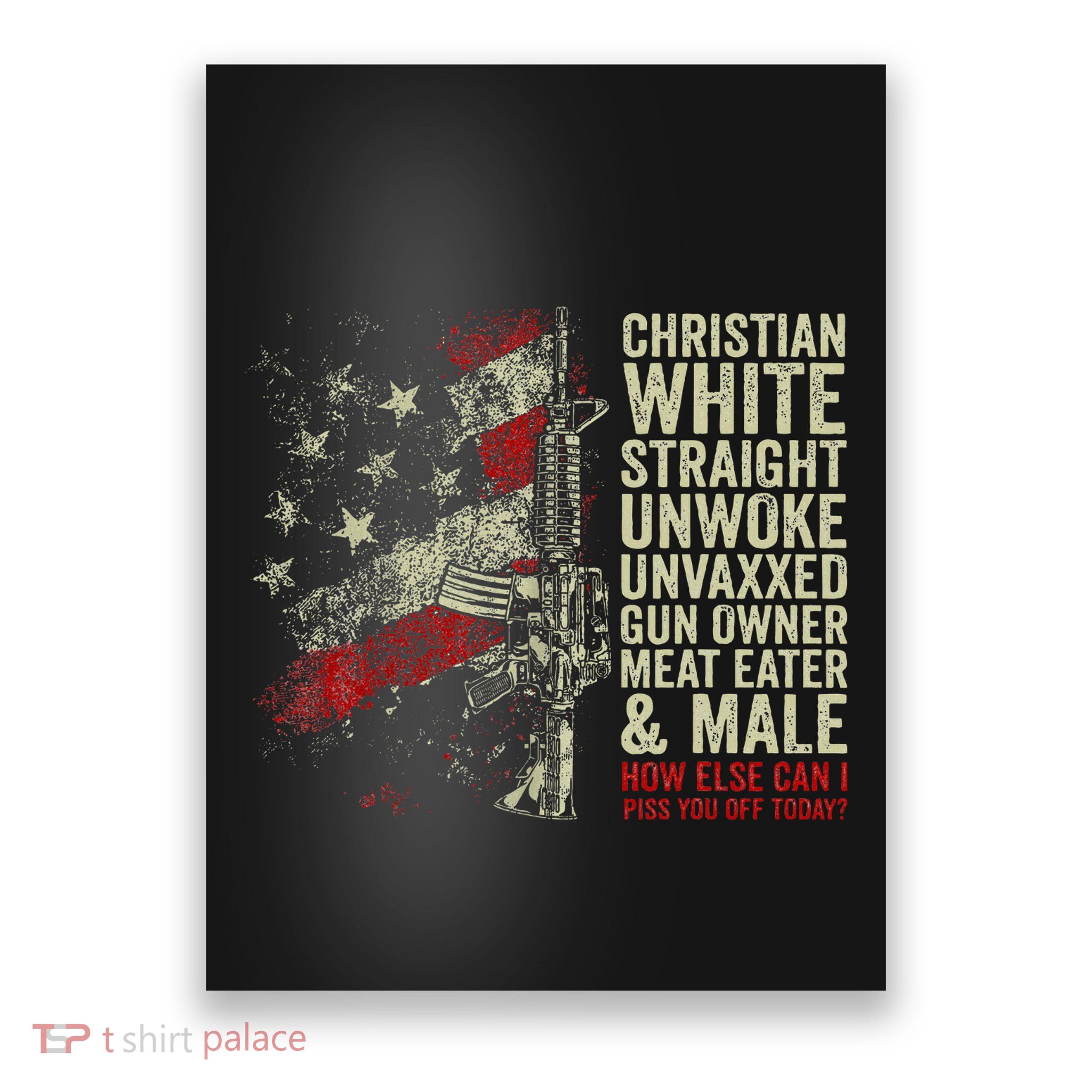 Christian White Straight Unwoke Unvaxxed Gun Owner Poster