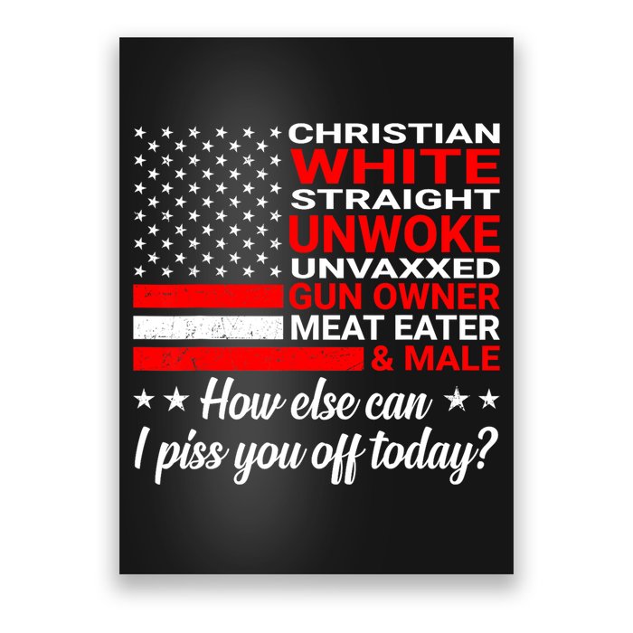 Christian White Straight Unwoke Unvaxxed Gun Owner Poster