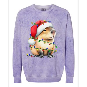 Capybara Wearing Santa Hat Christmas Capybara Lover Xmas Colorblast Crewneck Sweatshirt