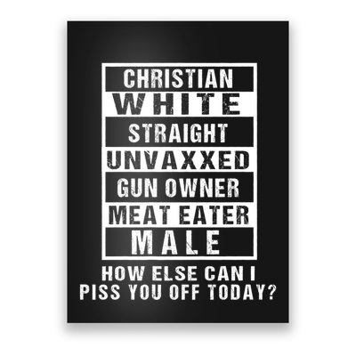 Christian White Straight Republican Unvaxxed Gun Owner Poster