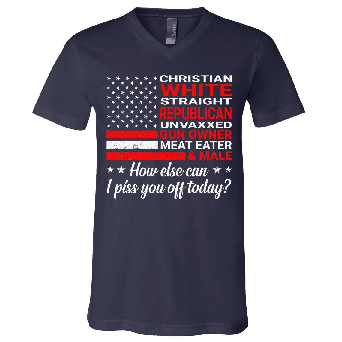 Christian White Straight Republican Unvaxxed Gun Owner V-Neck T-Shirt