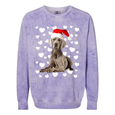 Christmas Weimaraner Santa Hat Holiday Dog Mom Dad Xmas Cute Gift Colorblast Crewneck Sweatshirt