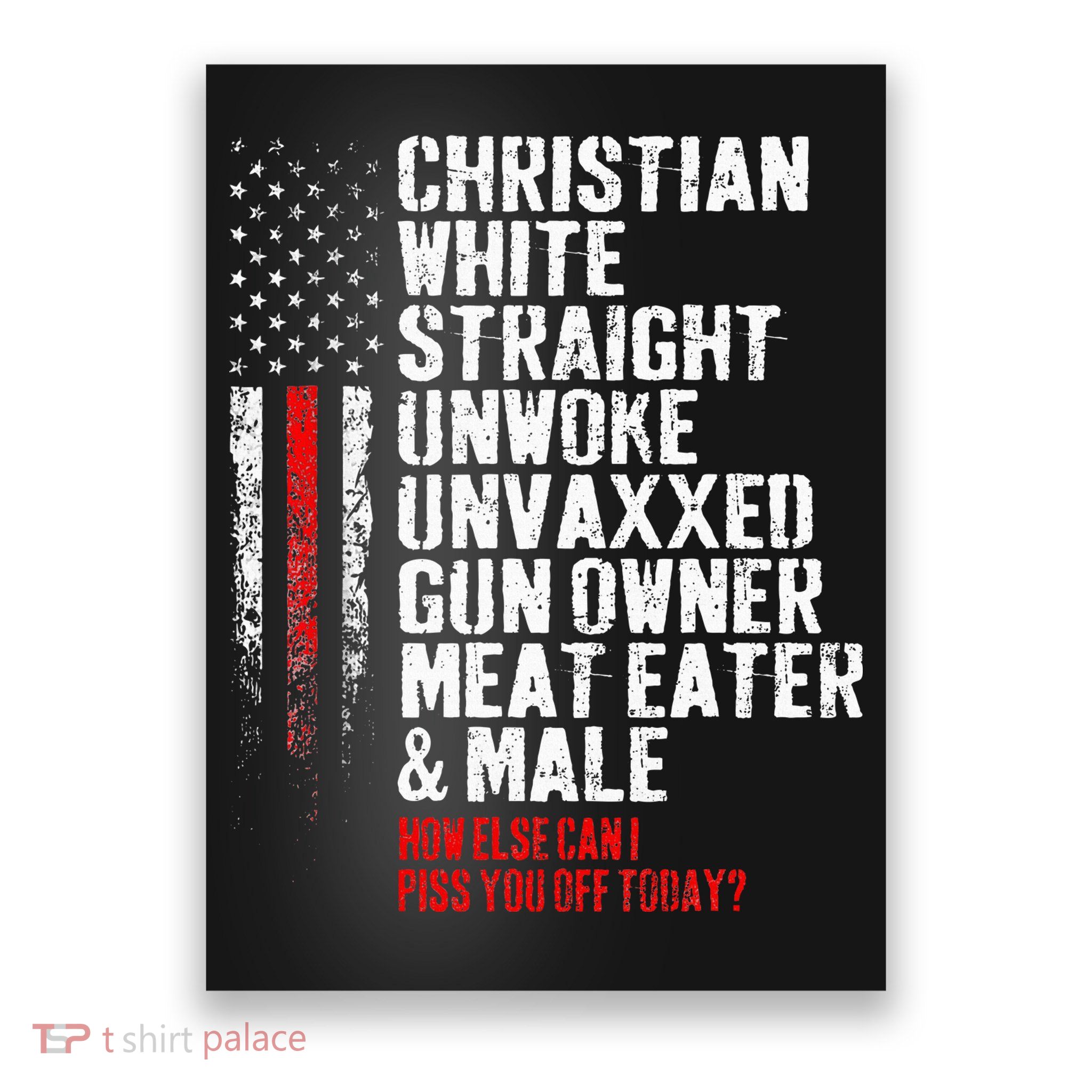 Christian White Straight Unwoke Unvaxxed Gun Owner Poster