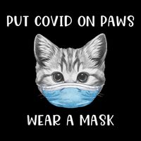 Cat Wearing Surgical Face Mask Promask Quarantine Kitty Cooling Performance Long Sleeve Crew