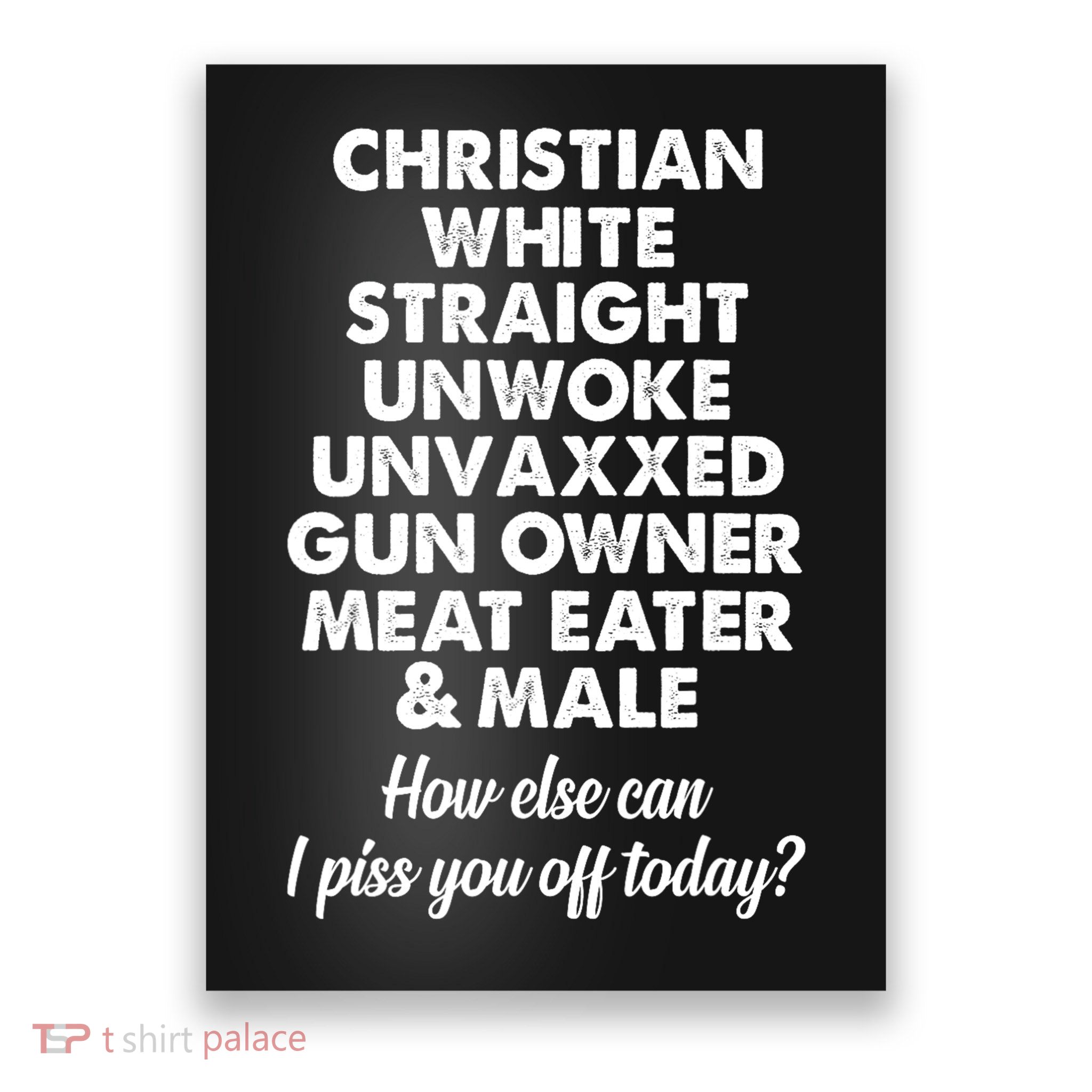 Christian White Straight Unwoke Unvaxxed Gun Owner Poster