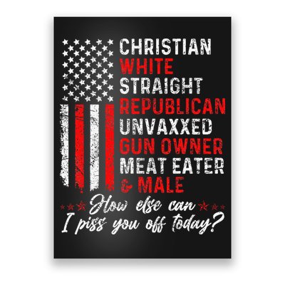 Christian White Straight Republican Unvaxxed Gun Owner Gift Poster