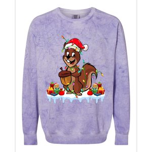 Chipmunk Wearing Santa Hat Xmas Chipmunk Lover Christmas Colorblast Crewneck Sweatshirt