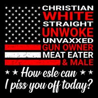 Christian White Straight Unwoke Unvaxxed Gun Owner 16 in Basic Backpack