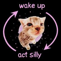 Cats Wake Up Act Silly Cat Meme Certified Freak Funny Flat Bill Trucker Hat