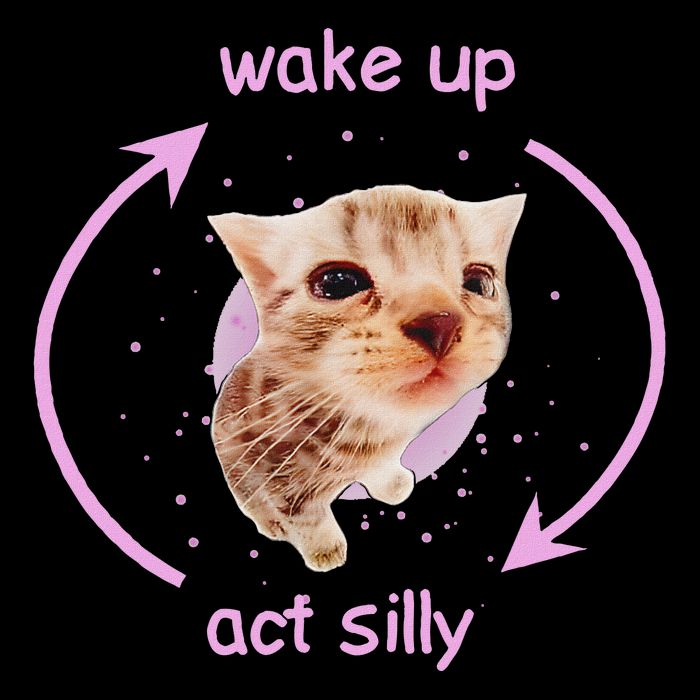 Cats Wake Up Act Silly Cat Meme Certified Freak Funny Flat Bill Trucker Hat