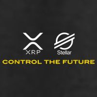 Cryptocurrency XRP XLM Coin Control The Future Knit Cap Winter Beanie