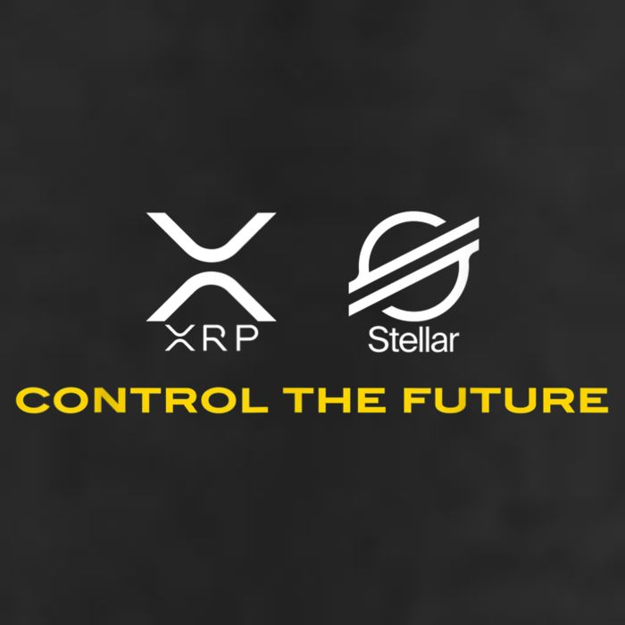 Cryptocurrency XRP XLM Coin Control The Future Knit Cap Winter Beanie