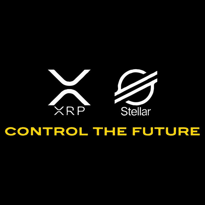 Cryptocurrency Xrp Xlm Coin Control The Future Backpack