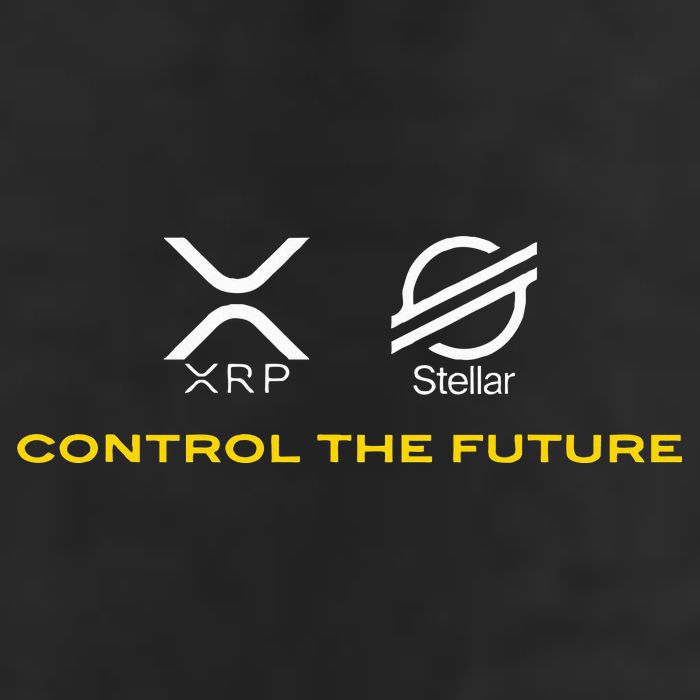 Cryptocurrency Xrp Xlm Coin Control The Future Premium Pullover Hoodie