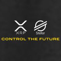 Cryptocurrency Xrp Xlm Coin Control The Future 25L Jumbo Tote