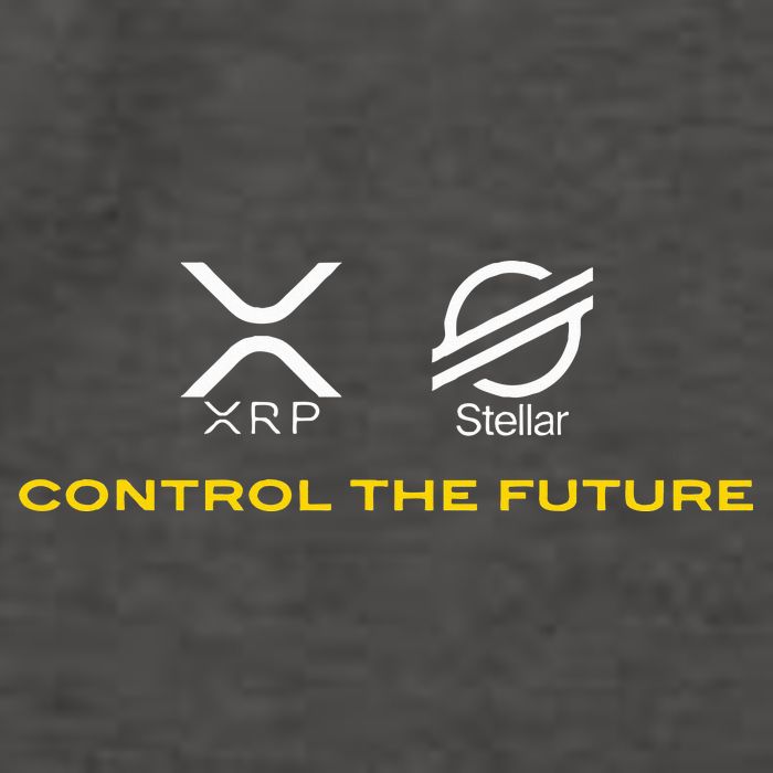 Cryptocurrency Xrp Xlm Coin Control The Future Vector Backpack