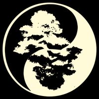 Cool Yin And Yang Circle With Trees Forest Harmony Yin Yang Gift Wool Snapback Cap