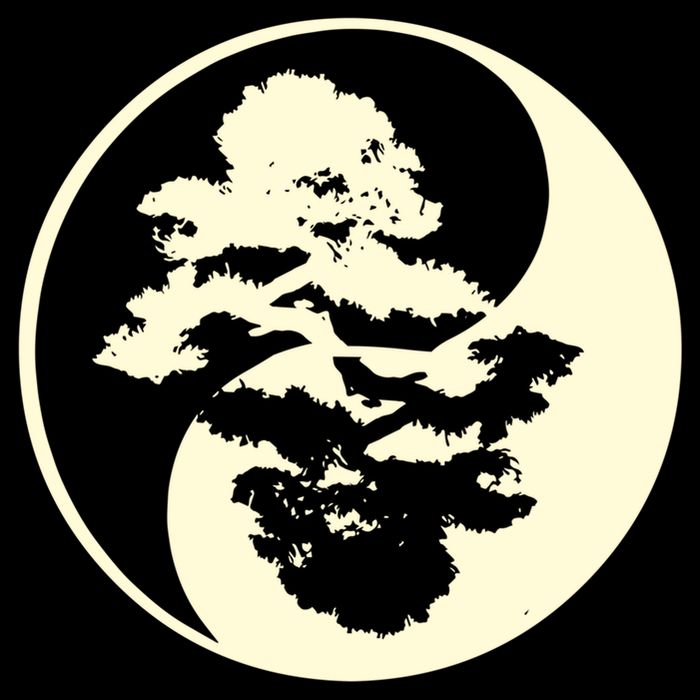 Cool Yin And Yang Circle With Trees Forest Harmony Yin Yang Gift Wool Snapback Cap