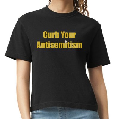 Curb Your Antisemitism Support Israel Comfort Colors Boxy T-Shirt