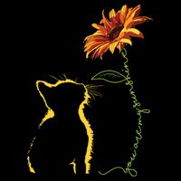 Cat You Are My Sunshine Cats Gift Premium T-Shirt