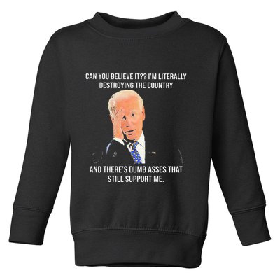 Can You Believe It IM Literally Destroying The Country Toddler Sweatshirt