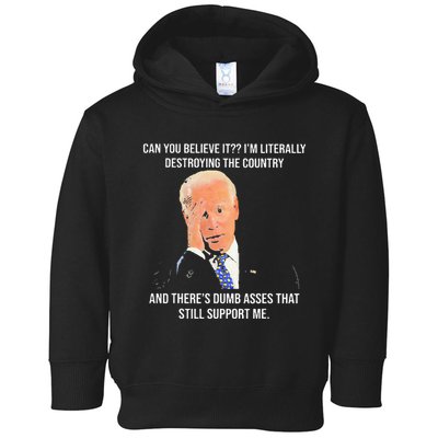Can You Believe It IM Literally Destroying The Country Toddler Hoodie