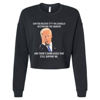 Can You Believe It IM Literally Destroying The Country Cropped Pullover Crew