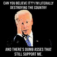 Can You Believe It IM Literally Destroying The Country Womens T-Shirt
