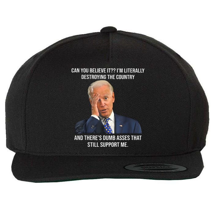 Can You Believe It Im Literally Destroying The Country Joe Biden Wool Snapback Cap