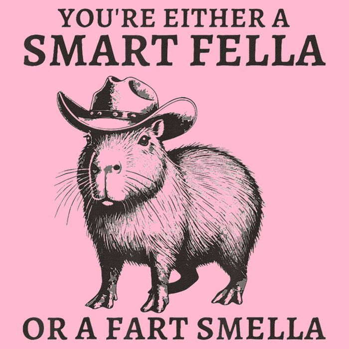 Capybara YouRe Either A Smart Fella Or A Fart Smella Hoodie
