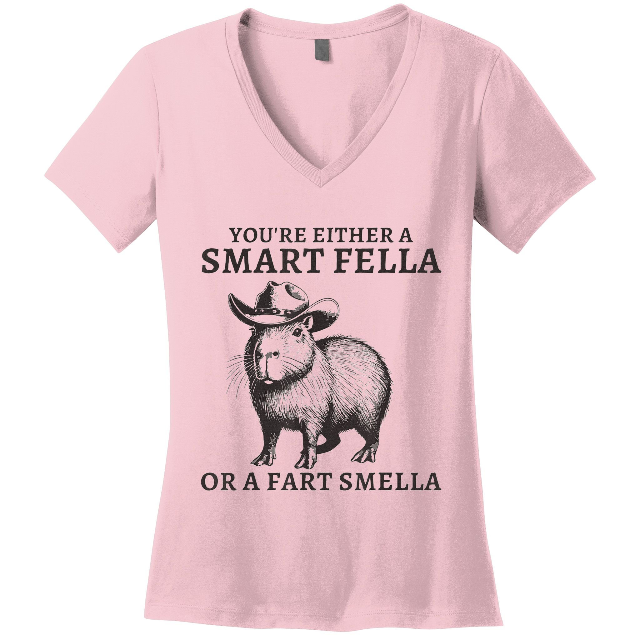 Capybara YouRe Either A Smart Fella Or A Fart Smella Women's V-Neck T-Shirt