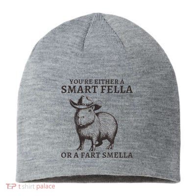 Capybara YouRe Either A Smart Fella Or A Fart Smella Sustainable Beanie