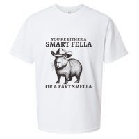 Capybara YouRe Either A Smart Fella Or A Fart Smella Sueded Cloud Jersey T-Shirt