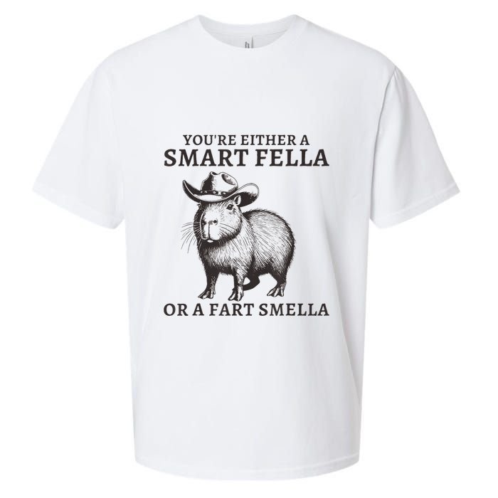 Capybara YouRe Either A Smart Fella Or A Fart Smella Sueded Cloud Jersey T-Shirt