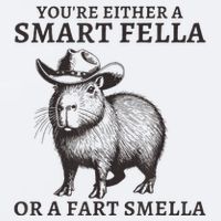 Capybara YouRe Either A Smart Fella Or A Fart Smella Sueded Cloud Jersey T-Shirt