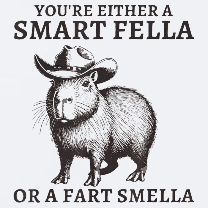 Capybara YouRe Either A Smart Fella Or A Fart Smella Sueded Cloud Jersey T-Shirt