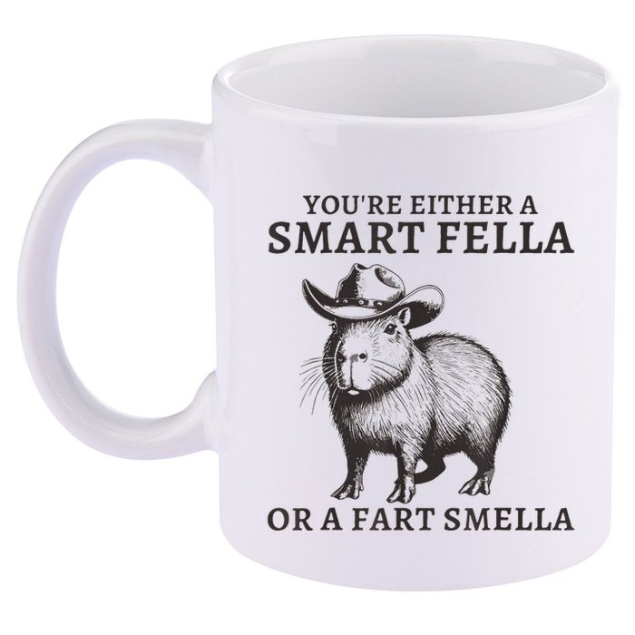 Capybara YouRe Either A Smart Fella Or A Fart Smella 11oz C Handle Ceramic Mug