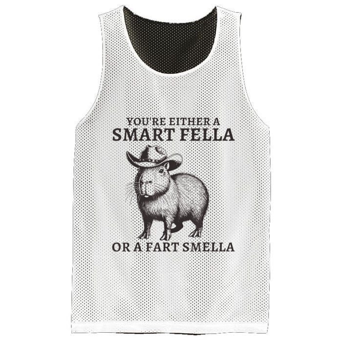 Capybara YouRe Either A Smart Fella Or A Fart Smella Mesh Reversible Basketball Jersey Tank