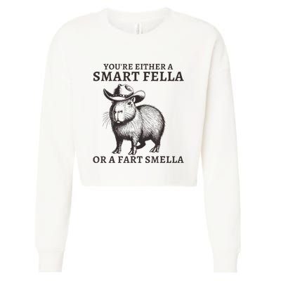 Capybara YouRe Either A Smart Fella Or A Fart Smella Cropped Pullover Crew