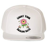 Count Your Fucking Days Wool Snapback Cap