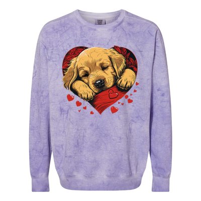 Cute Yellow Labrador Retriever Dog Art Golden Retriever Colorblast Crewneck Sweatshirt