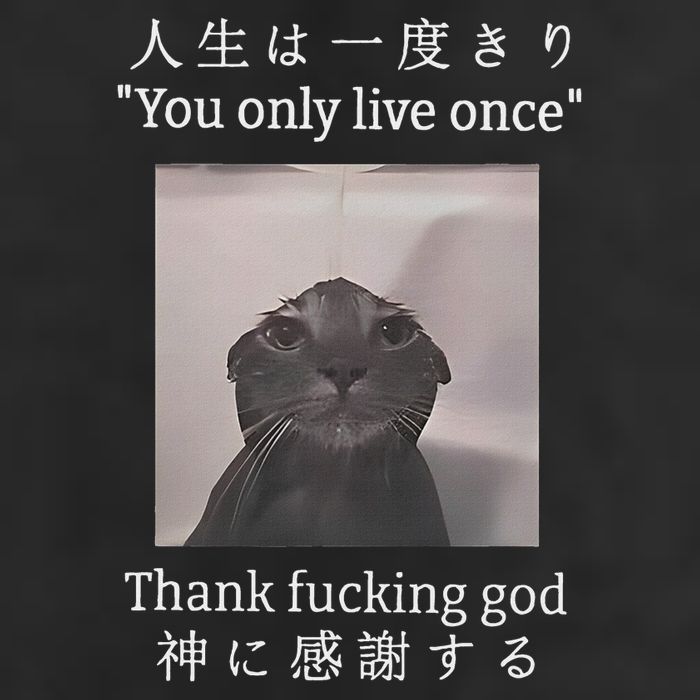 Cat You Only Live Once Thank Fucking God Japanese 11oz C Handle Ceramic Mug
